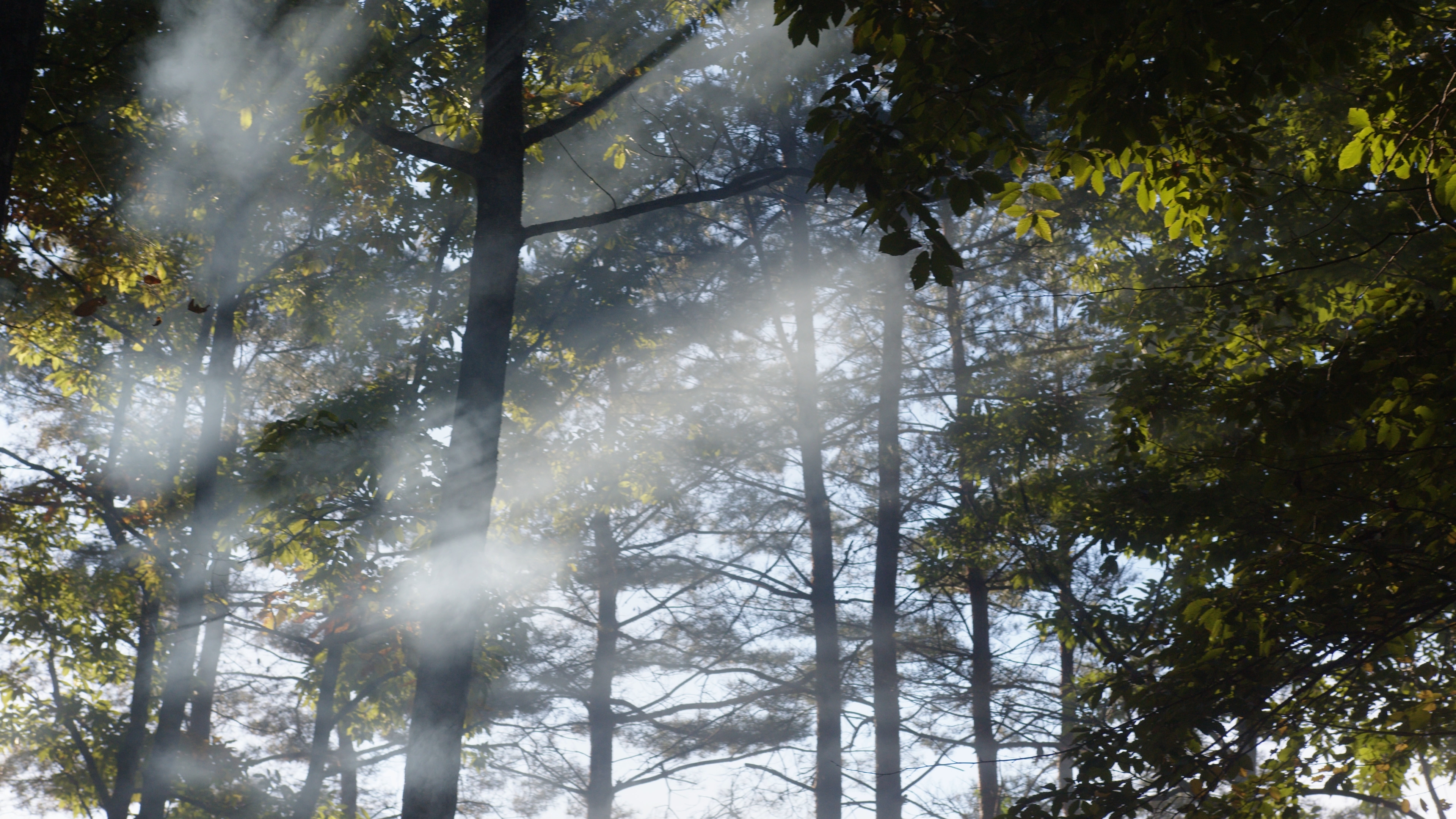 クリエイティブコンサルティング