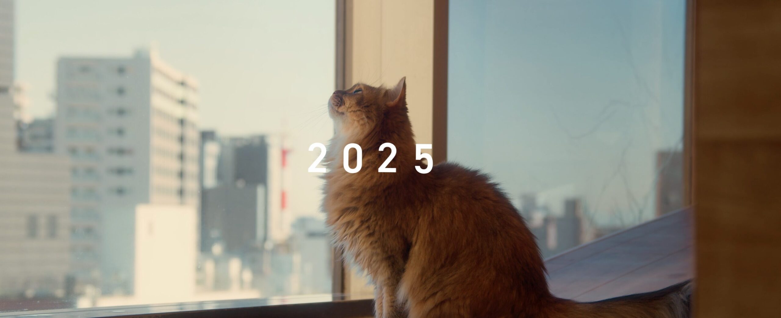 川崎市 二十歳を祝う集い2025 OP メイン画像